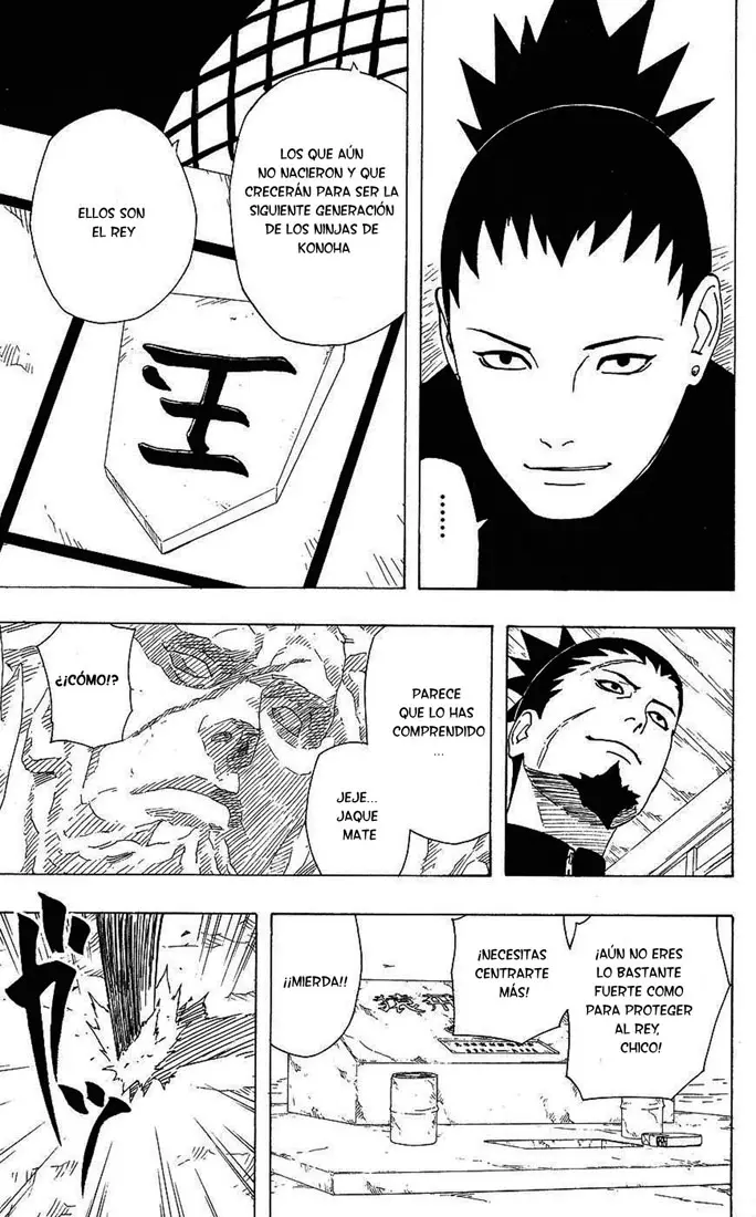 Naruto capítulo 342, página 17