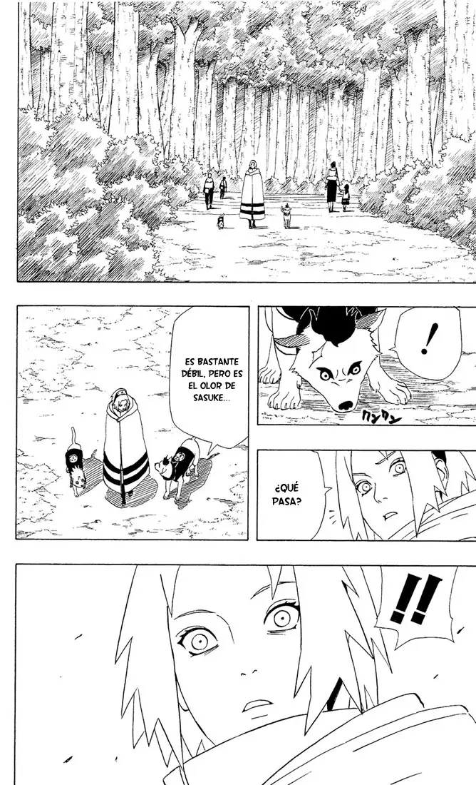 Naruto capítulo 355, página 13