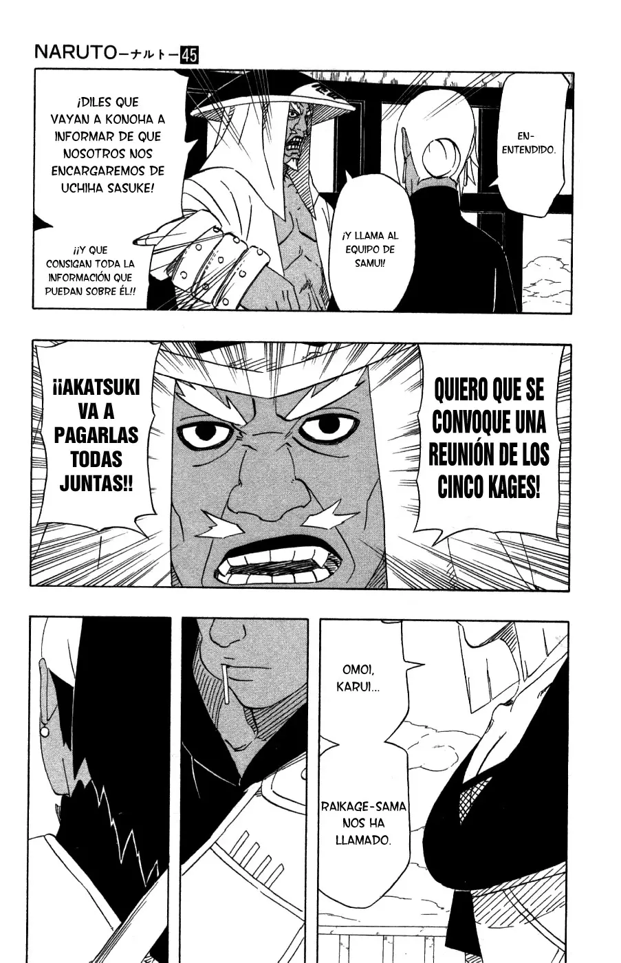Naruto capítulo 417, página 15
