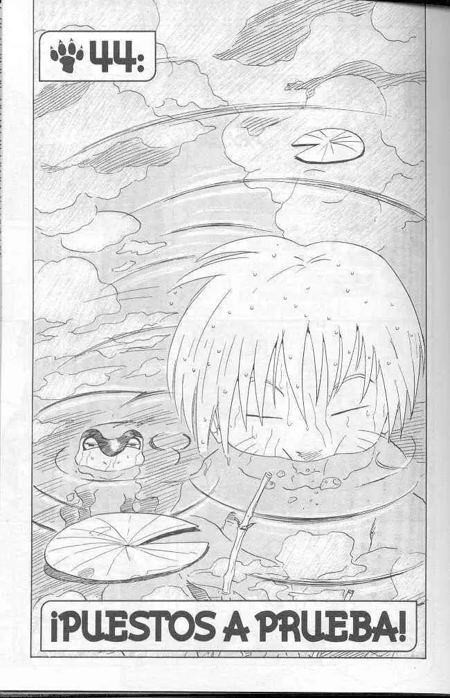 Naruto capítulo 44, página 1