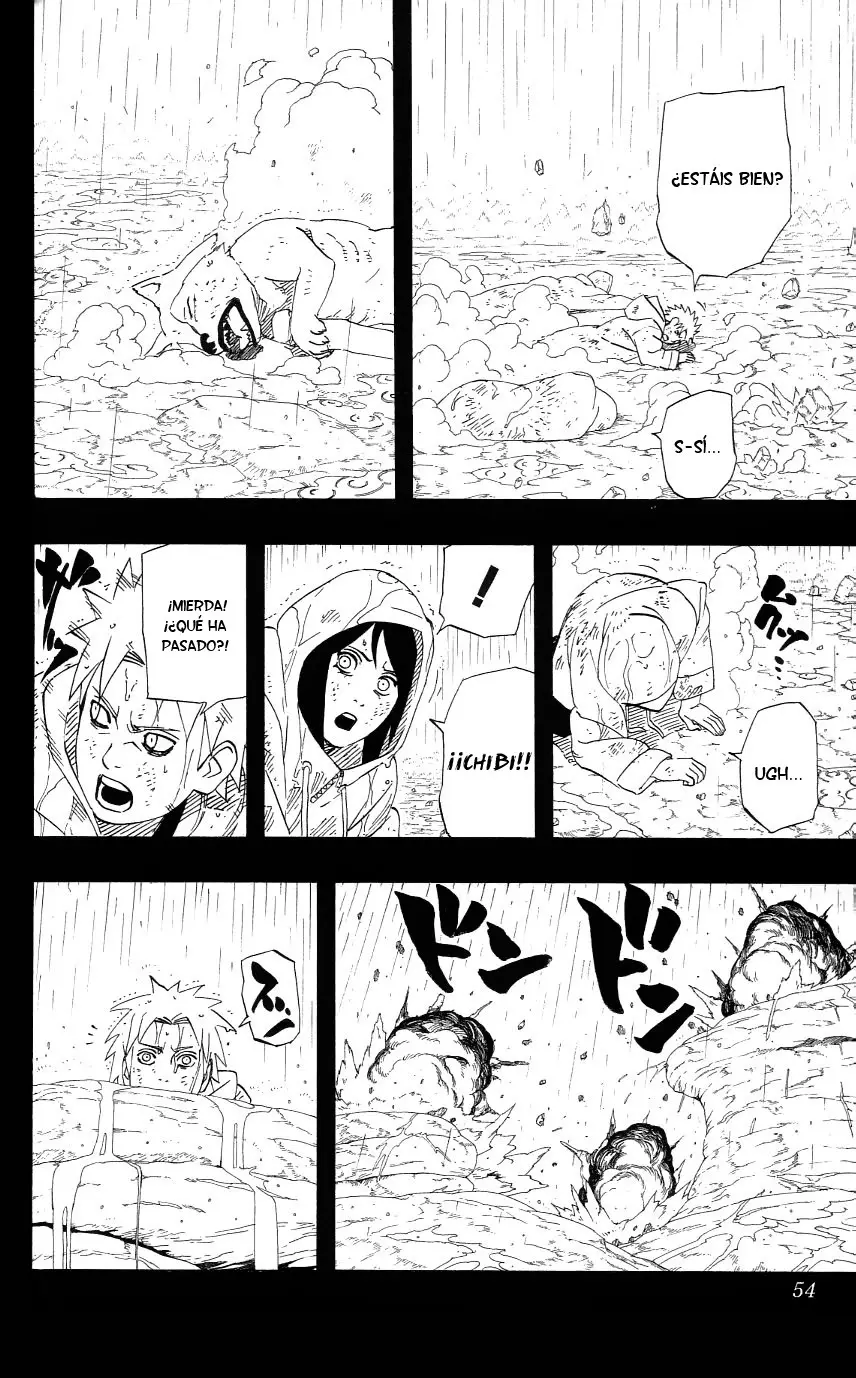 Naruto capítulo 445, página 13
