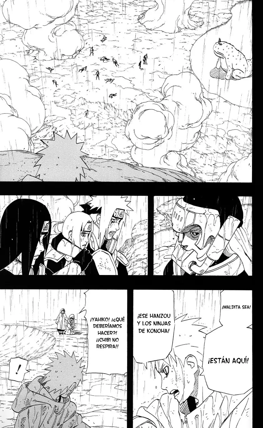 Naruto capítulo 445, página 14