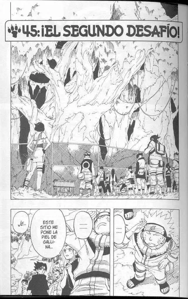 Naruto capítulo 45, página 1