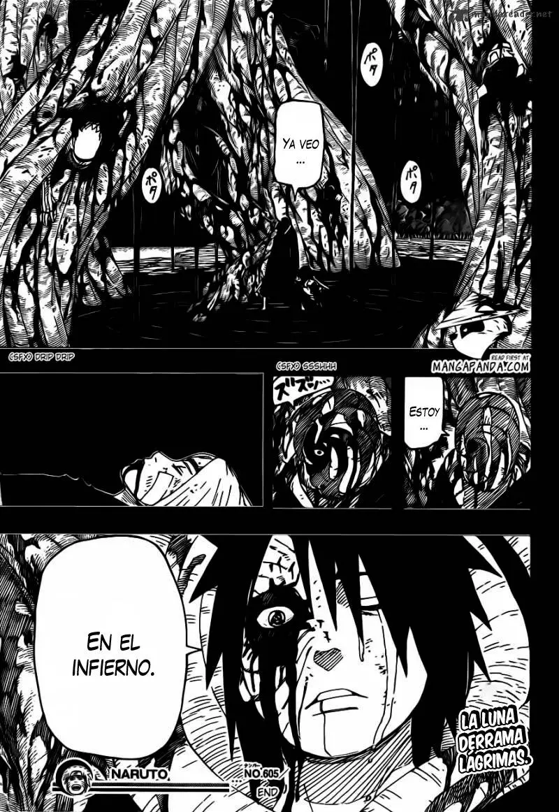 Naruto capítulo 605, página 17