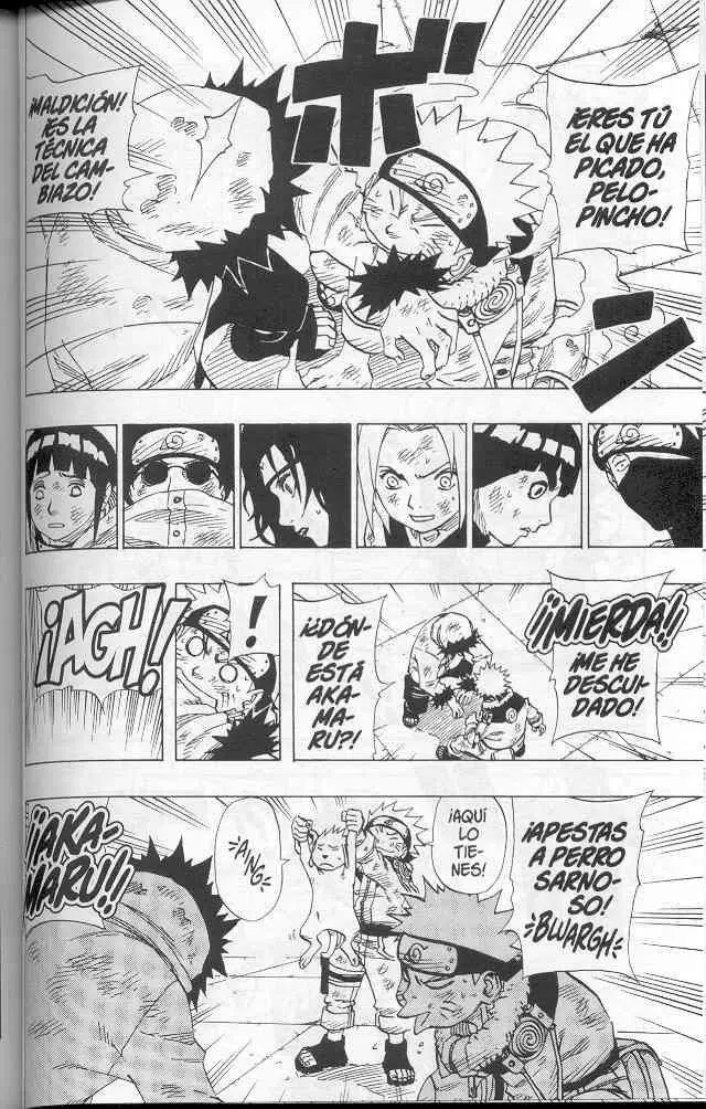 Naruto capítulo 75, página 17
