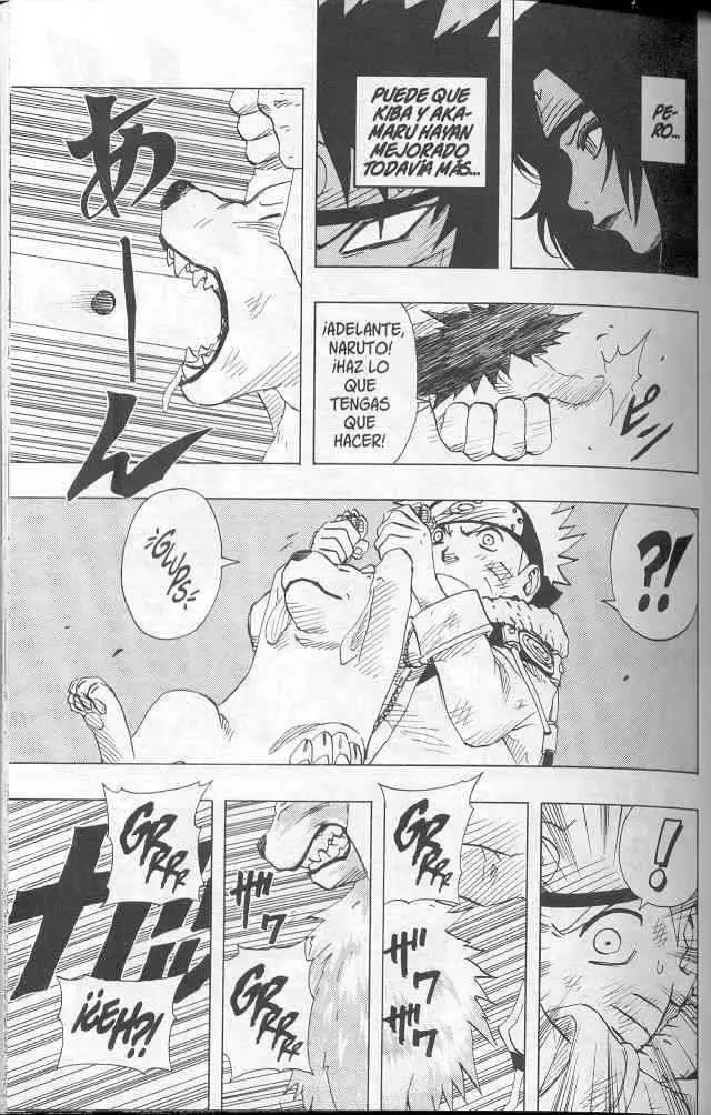 Naruto capítulo 76, página 3