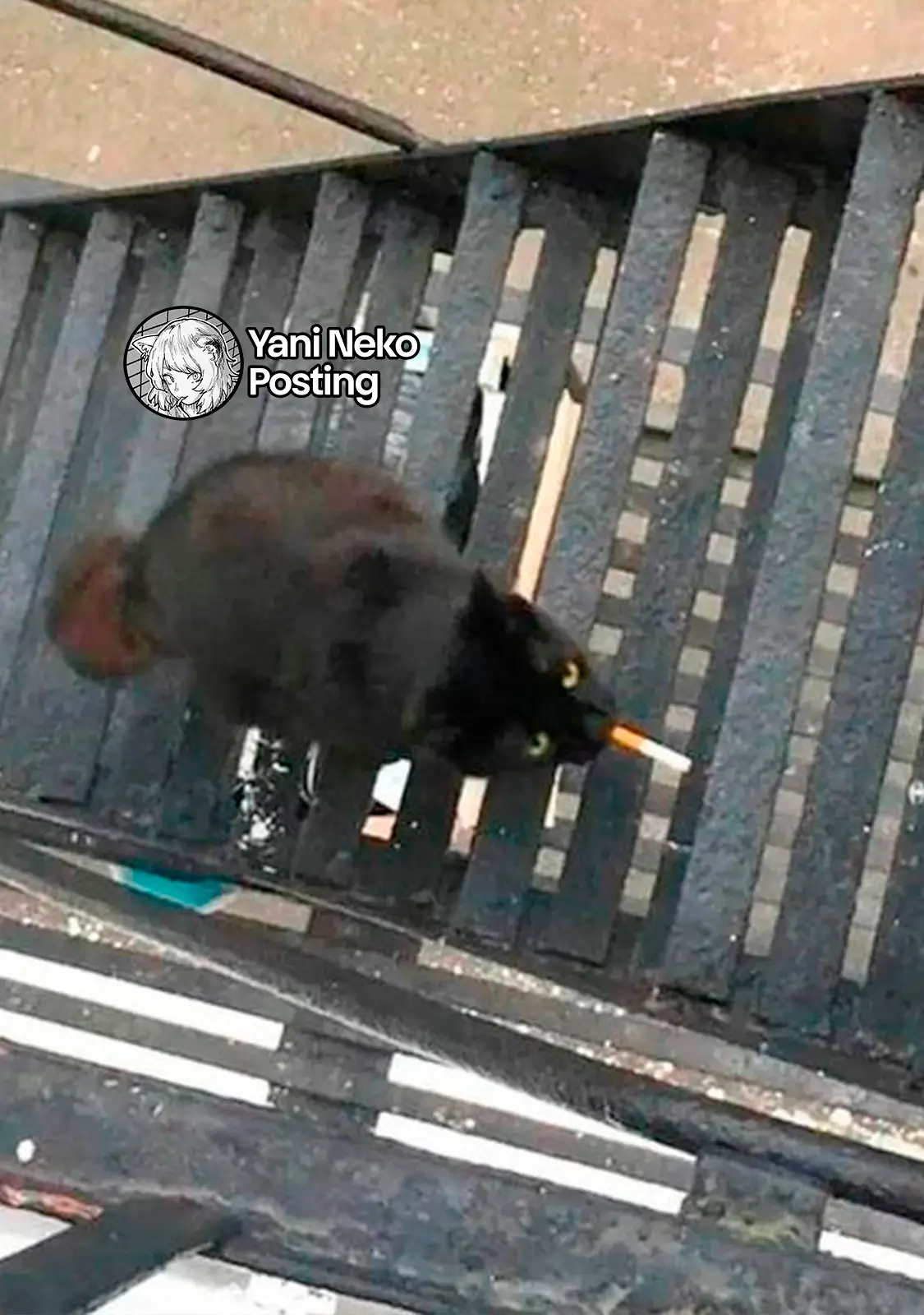 NICOTINEKO capítulo 111, página 5