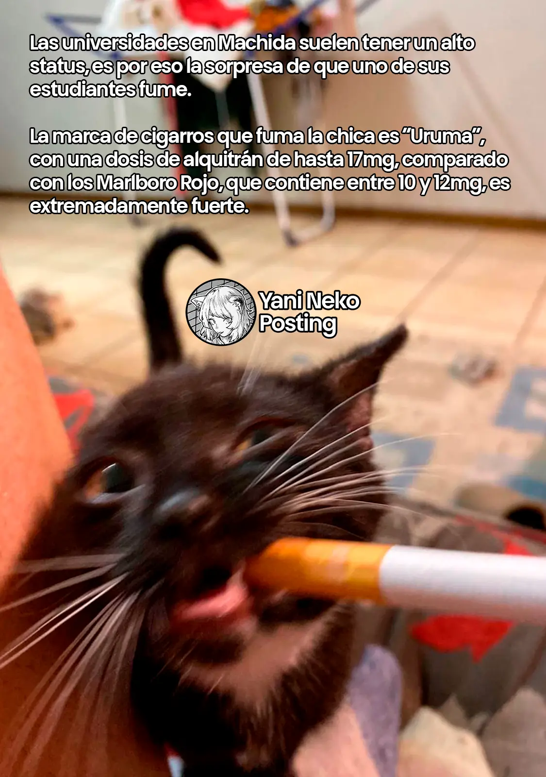 NICOTINEKO capítulo 112, página 5