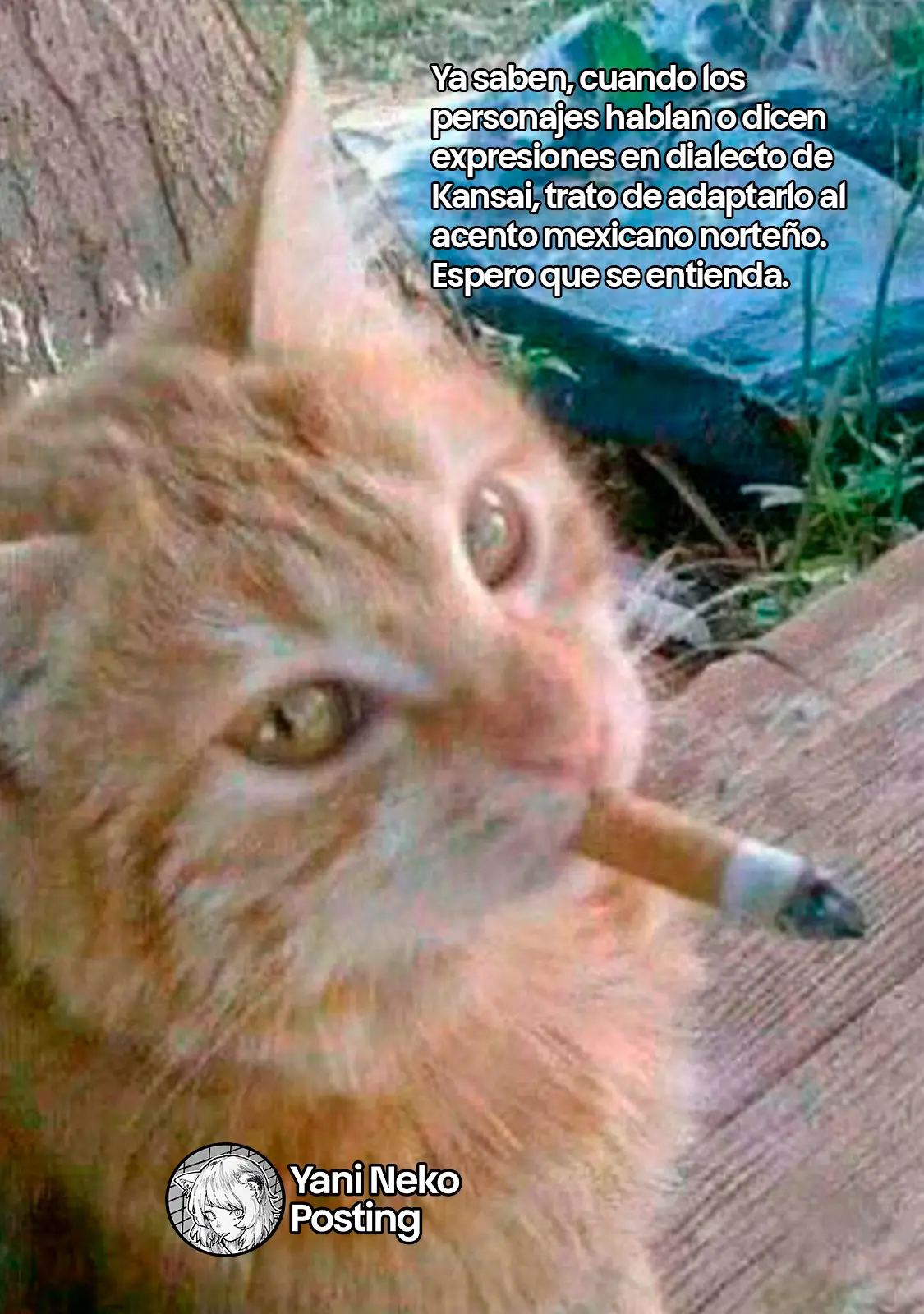 NICOTINEKO capítulo 116, página 5