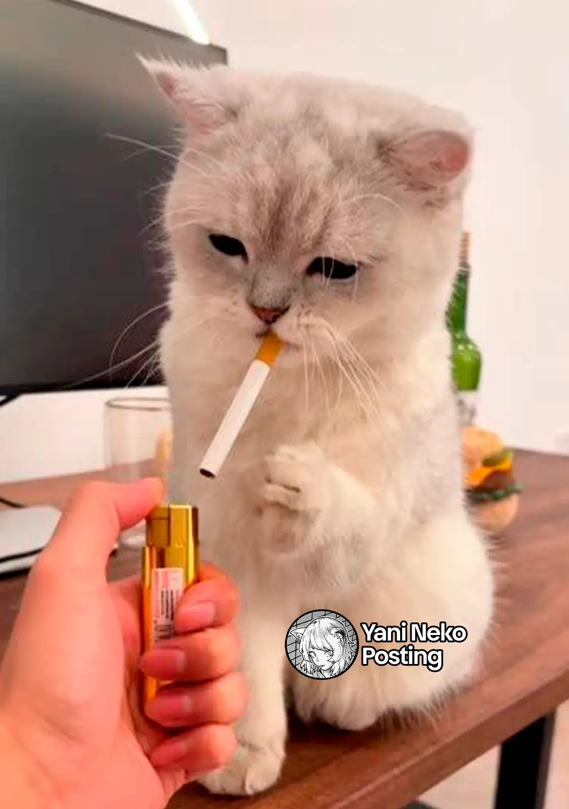 NICOTINEKO capítulo 119, página 5