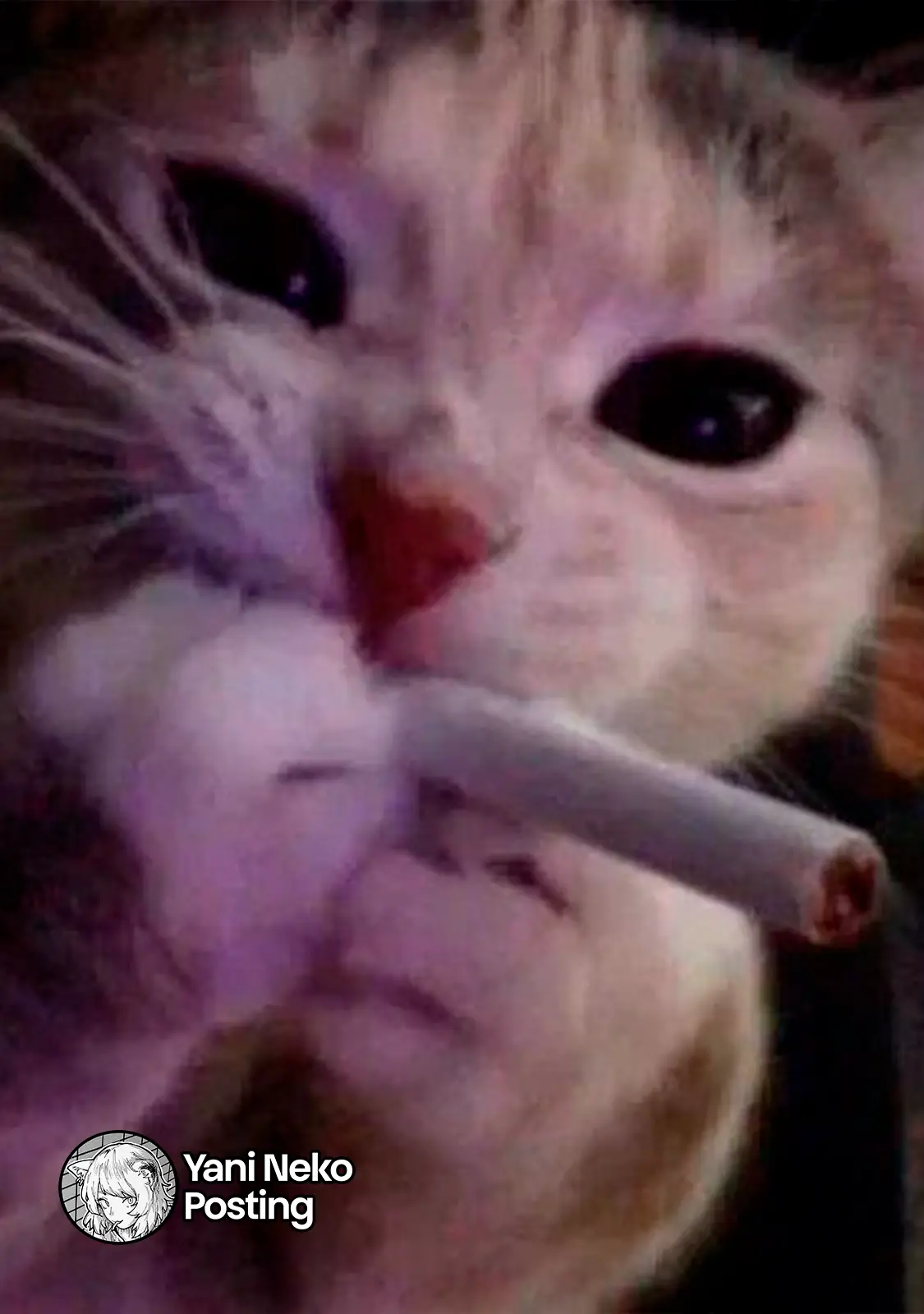 NICOTINEKO capítulo 120, página 7