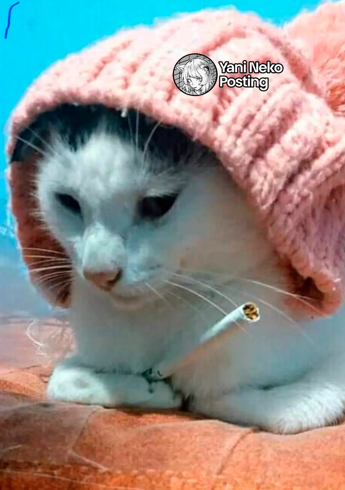 NICOTINEKO capítulo 121, página 5