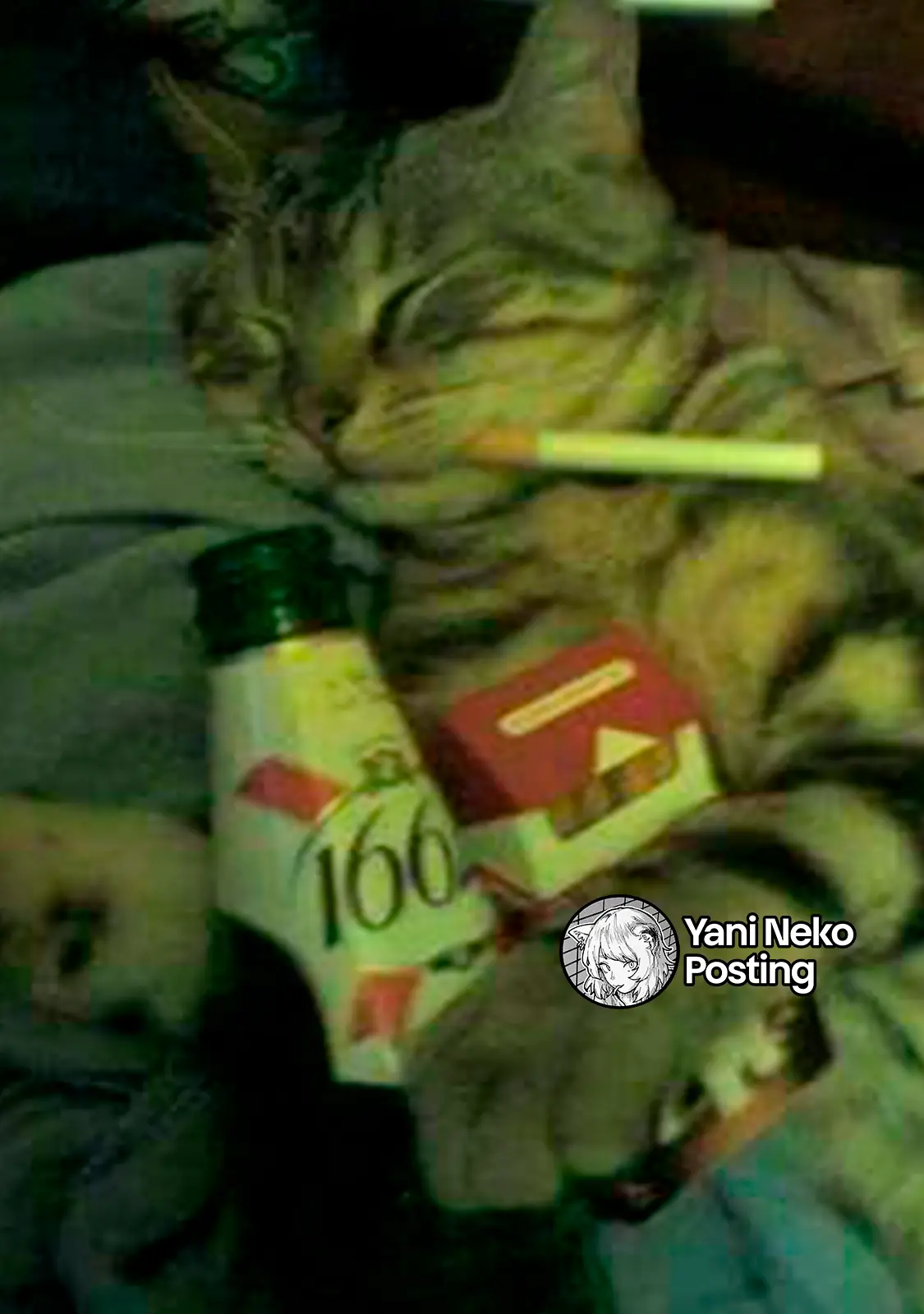 NICOTINEKO capítulo 125, página 5