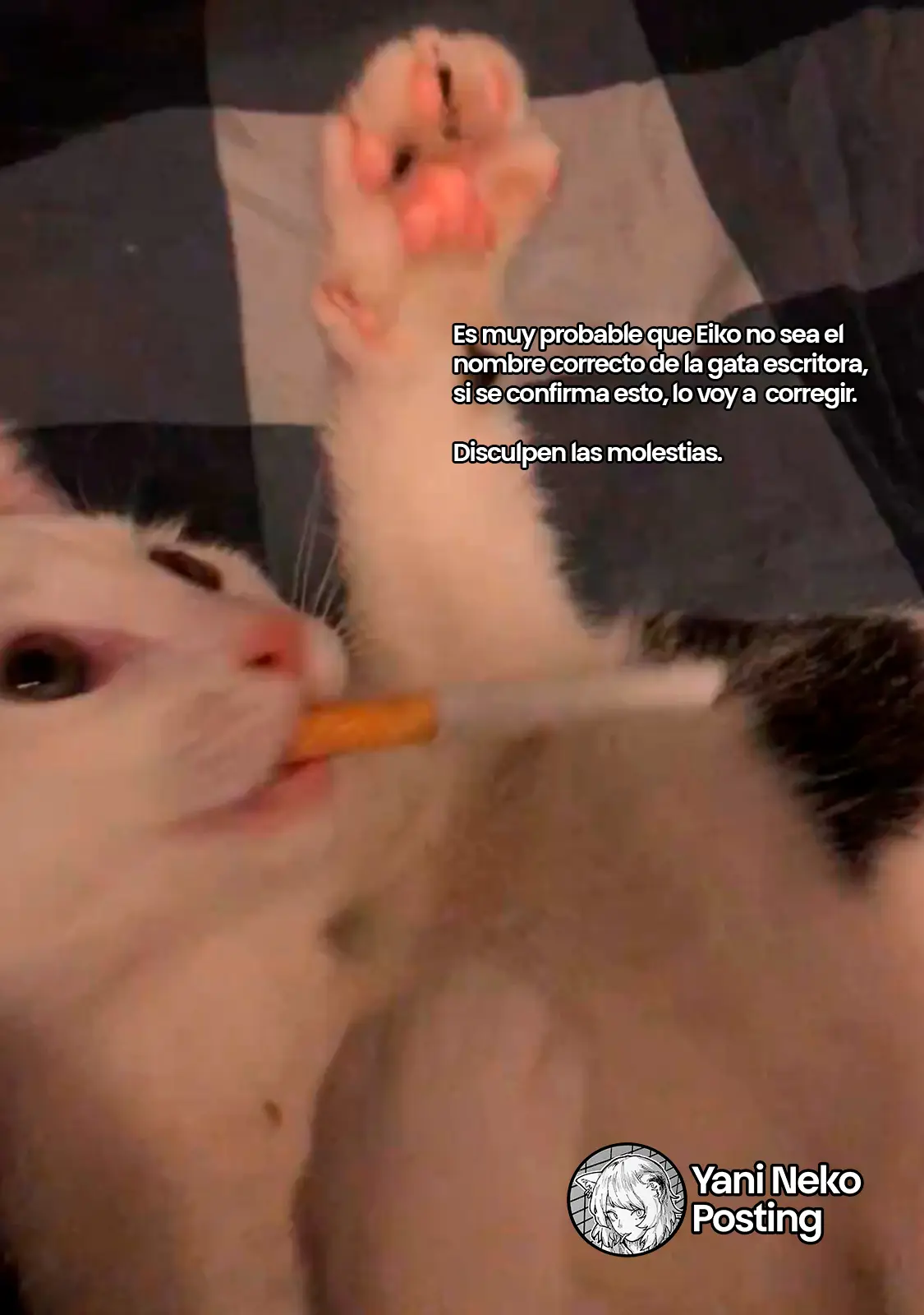 NICOTINEKO capítulo 129, página 5