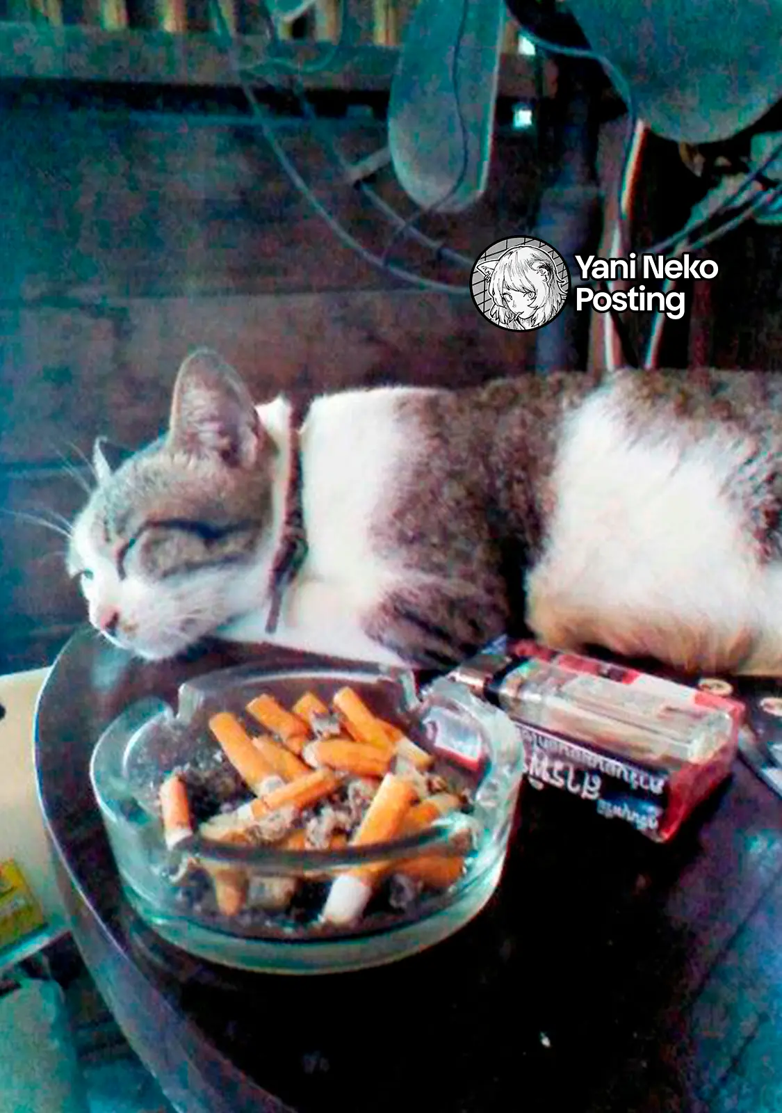 NICOTINEKO capítulo 130, página 5