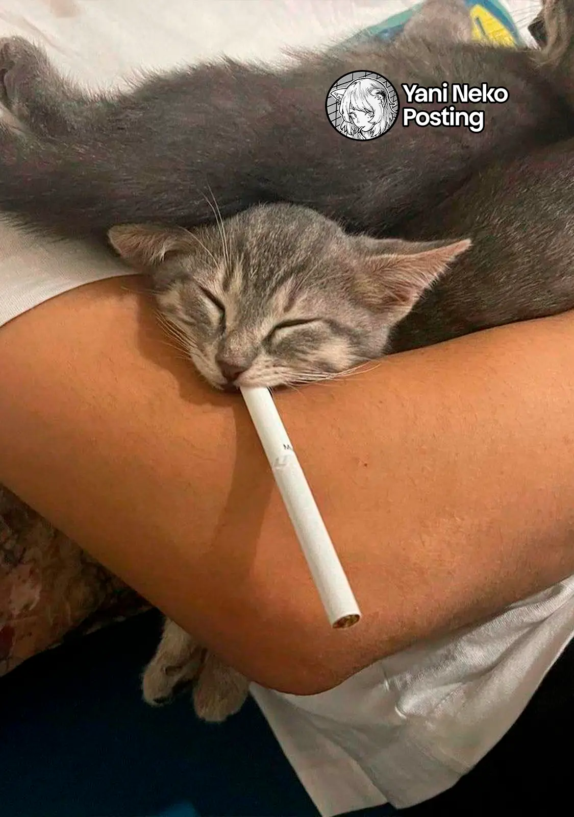 NICOTINEKO capítulo 138, página 11