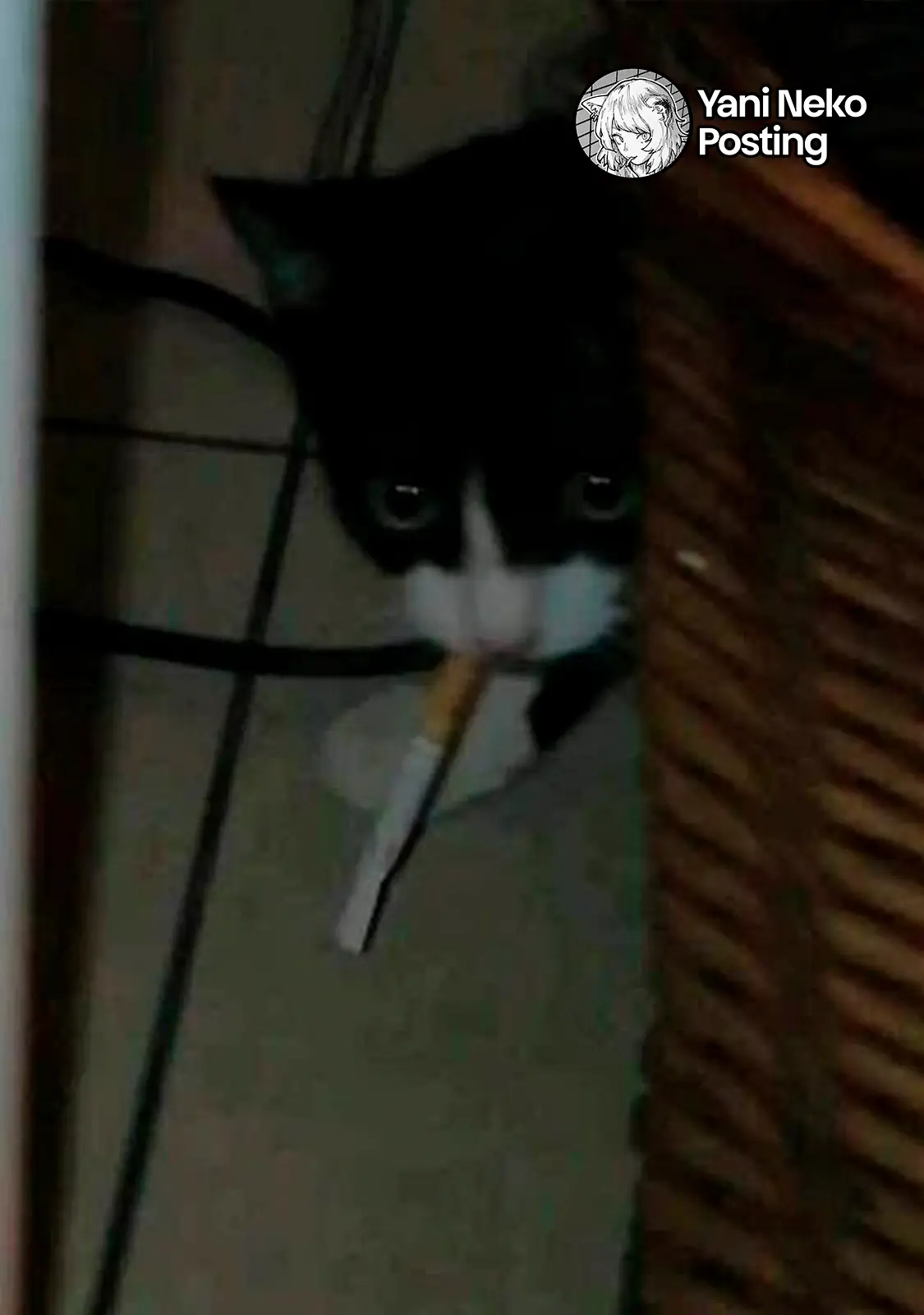 NICOTINEKO capítulo 143, página 7