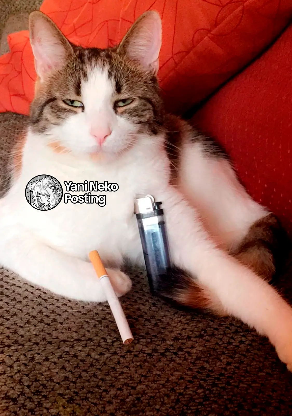 NICOTINEKO capítulo 151, página 5