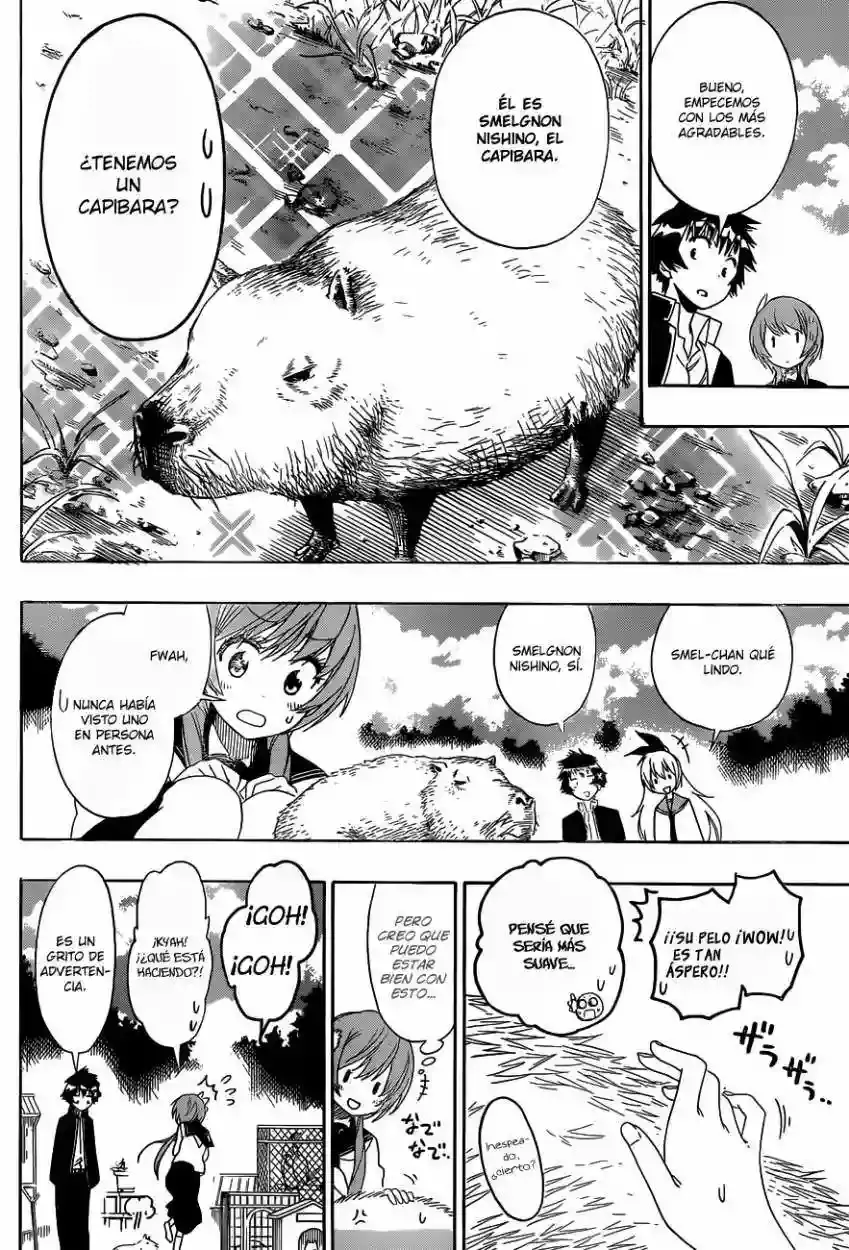 Nisekoi capítulo 142, página 10