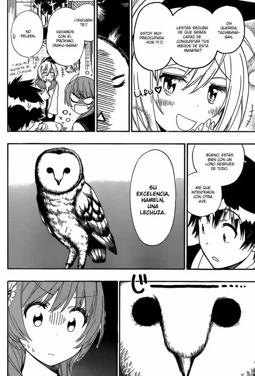 Nisekoi capítulo 142, página 12