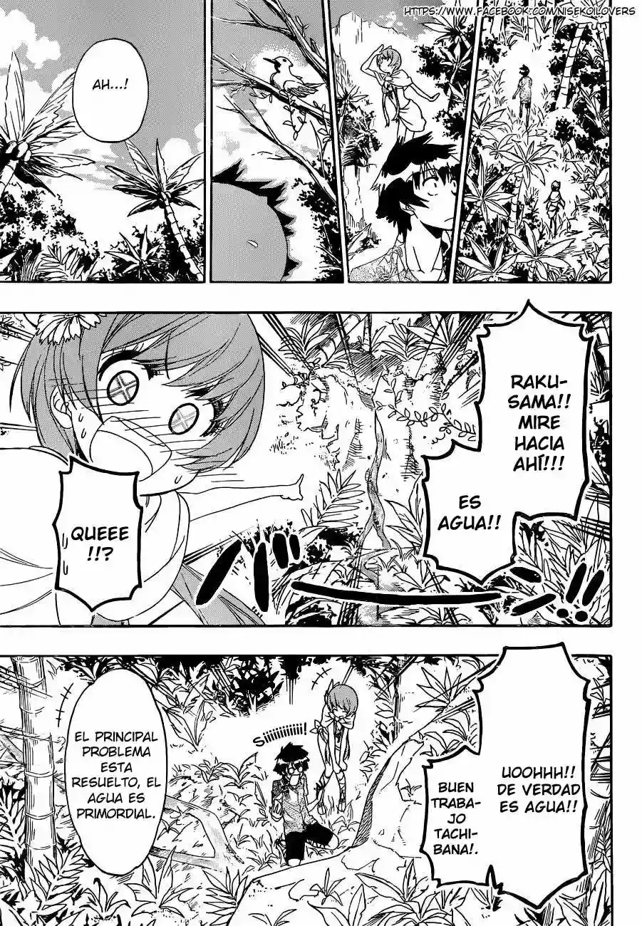 Nisekoi capítulo 170, página 12