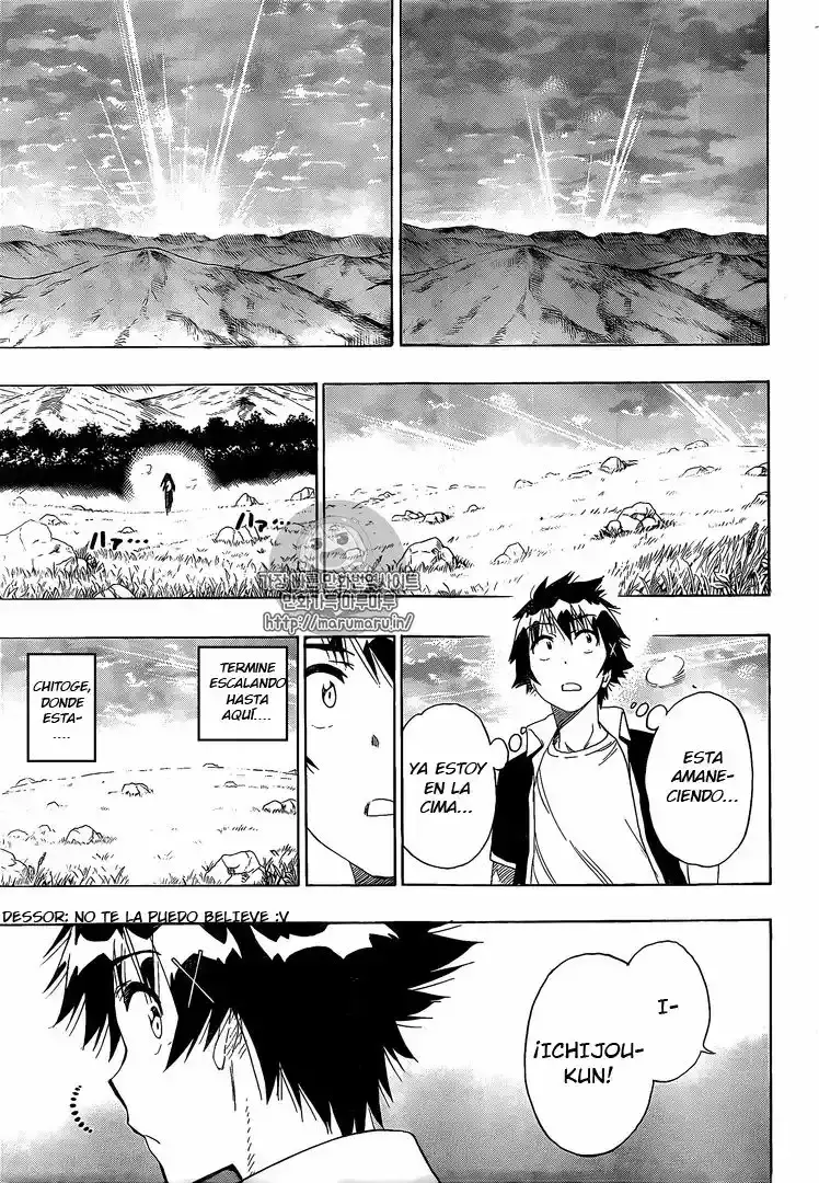 Nisekoi capítulo 224, página 18