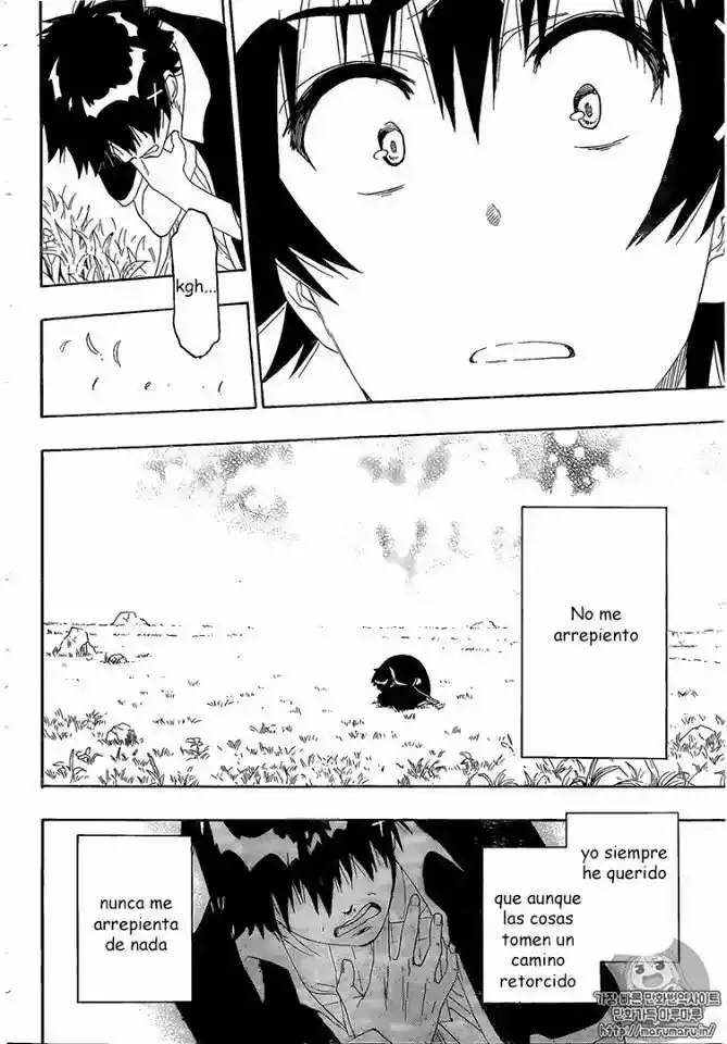 Nisekoi capítulo 226, página 15