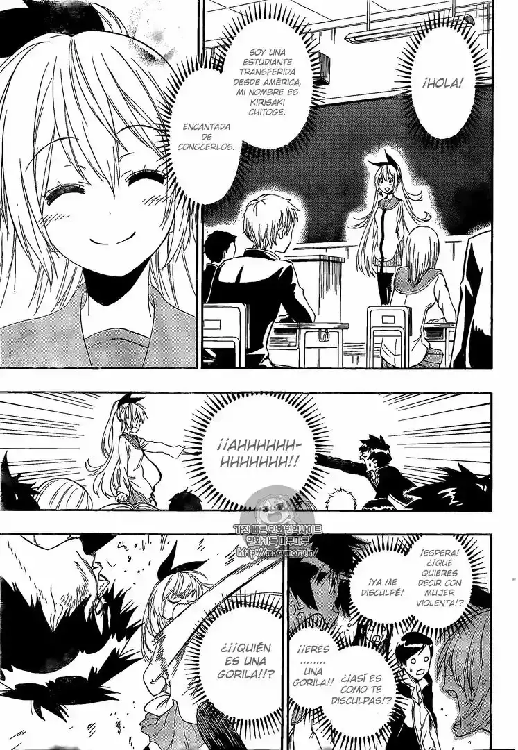 Nisekoi capítulo 227, página 8