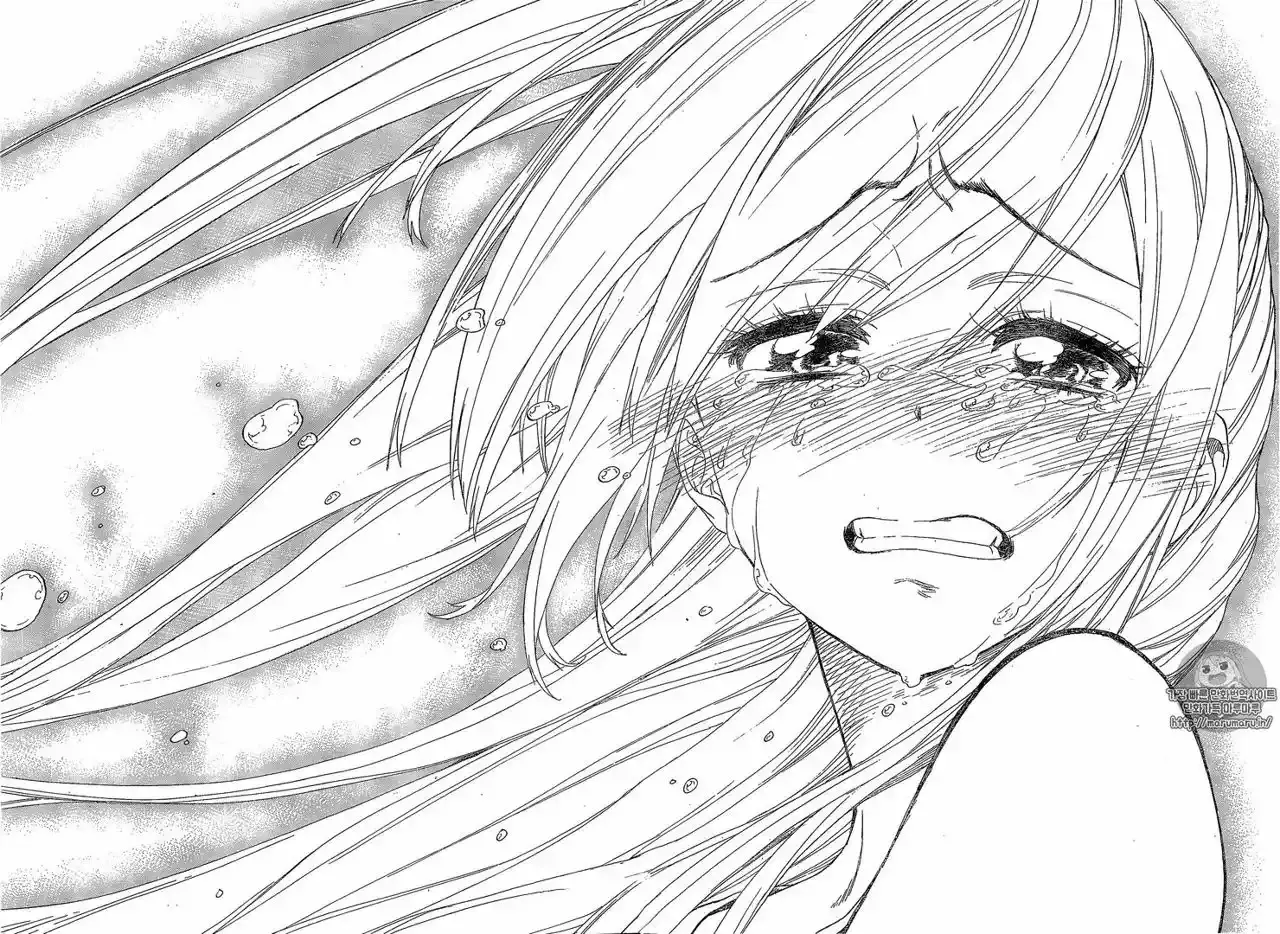 Nisekoi capítulo 227, página 17