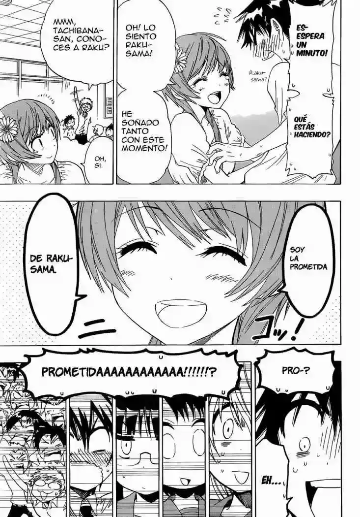 Nisekoi capítulo 33, página 8