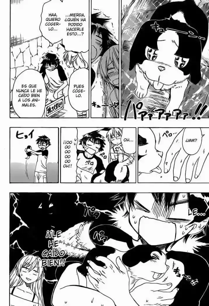 Nisekoi capítulo 41, página 4
