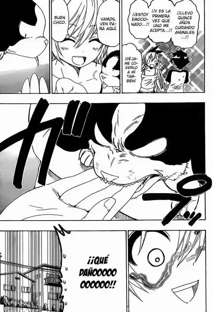 Nisekoi capítulo 41, página 5