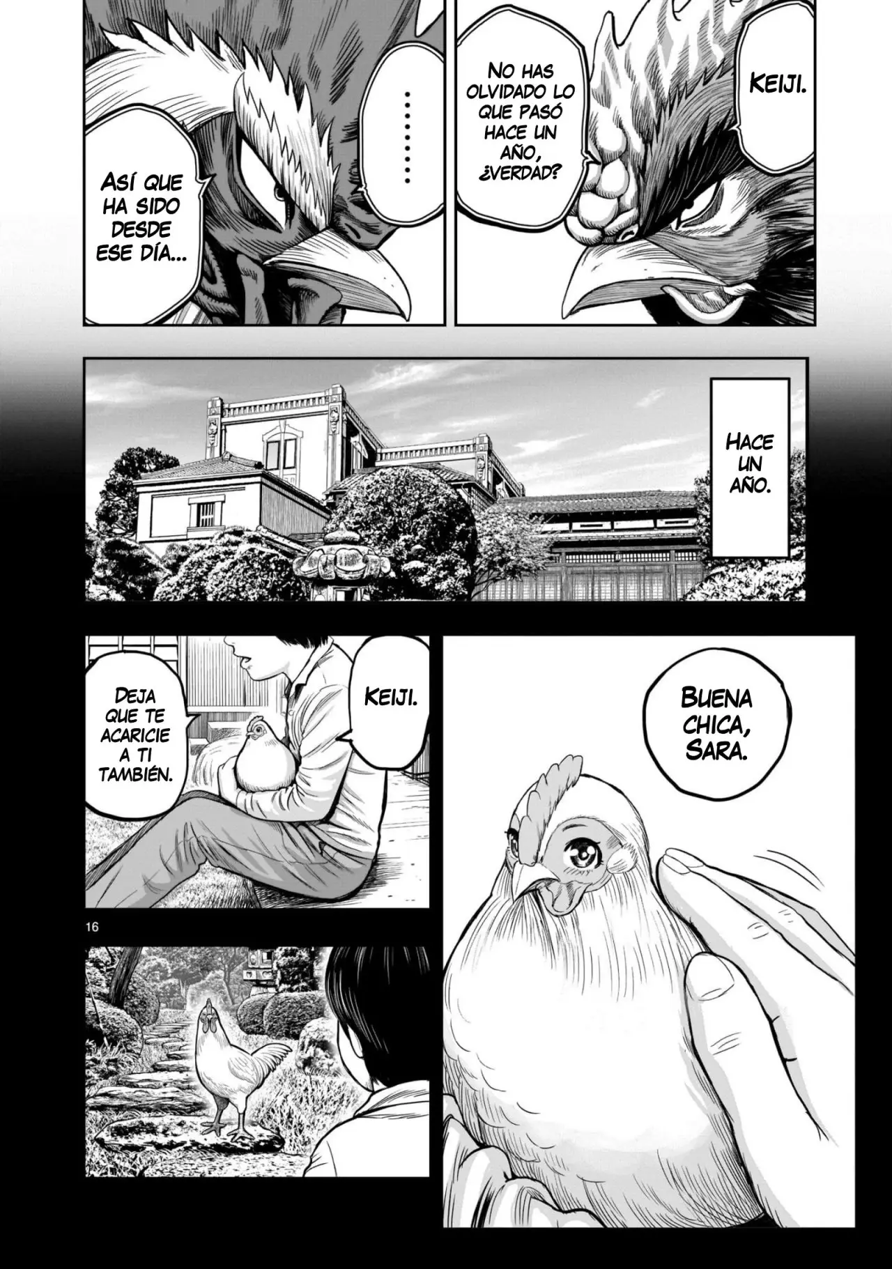 Rooster Fighter capítulo 11, página 17