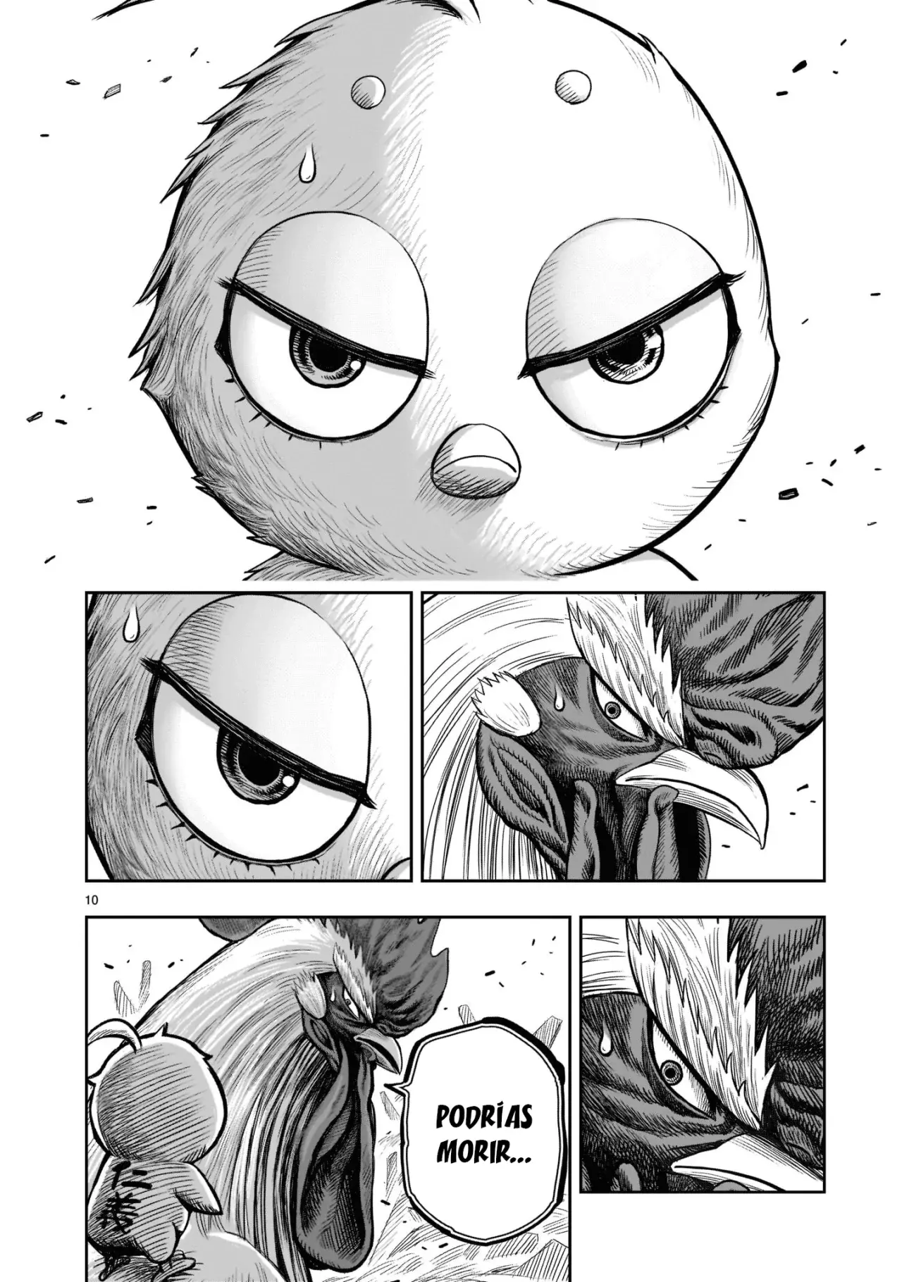 Rooster Fighter capítulo 23, página 11