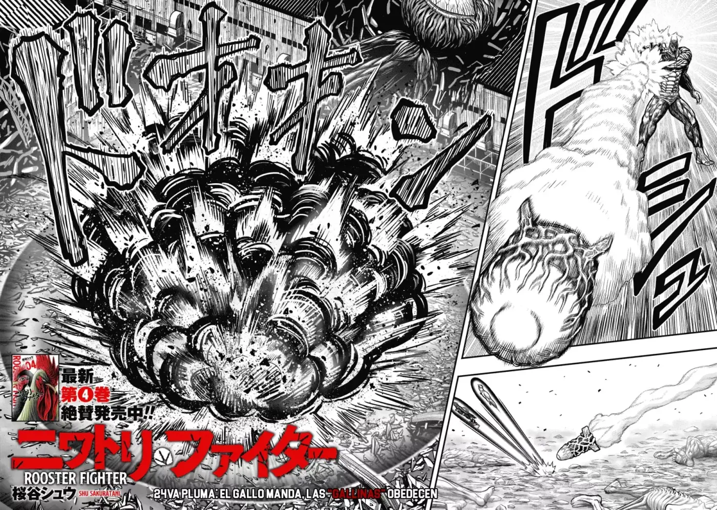 Rooster Fighter capítulo 24, página 6