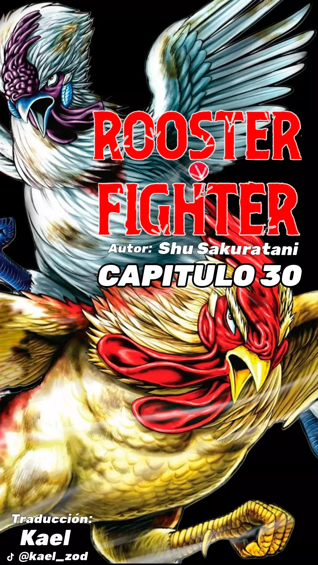 Rooster Fighter capítulo 30, página 2