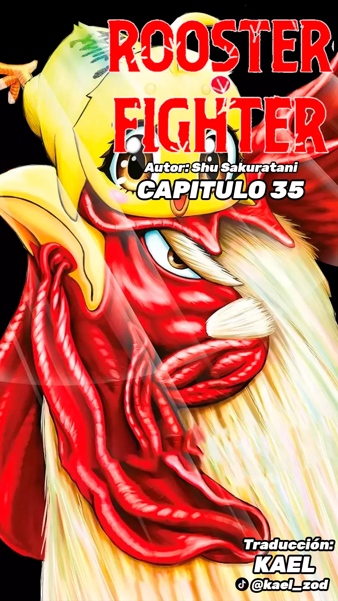 Rooster Fighter capítulo 35, página 2