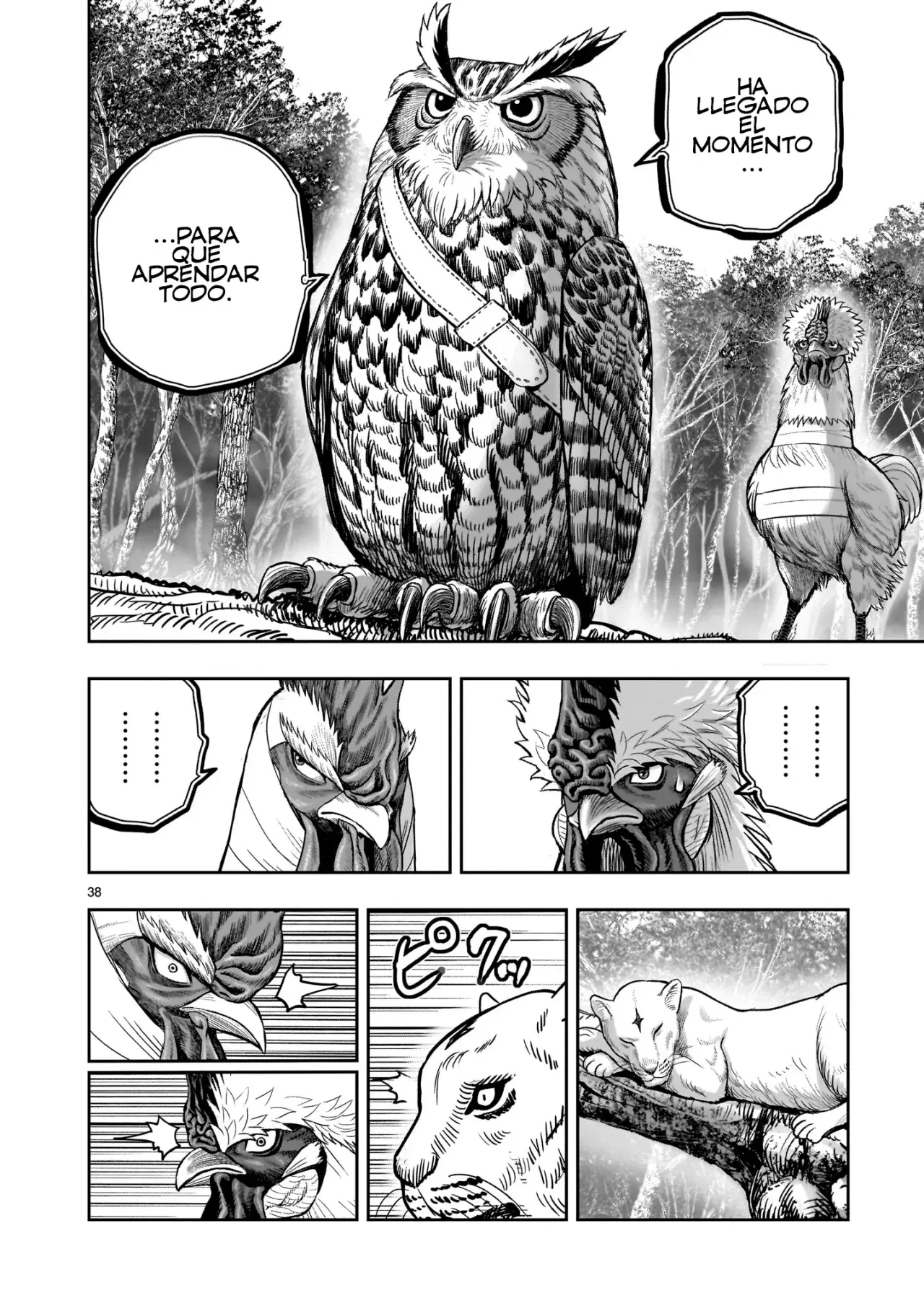 Rooster Fighter capítulo 38, página 42