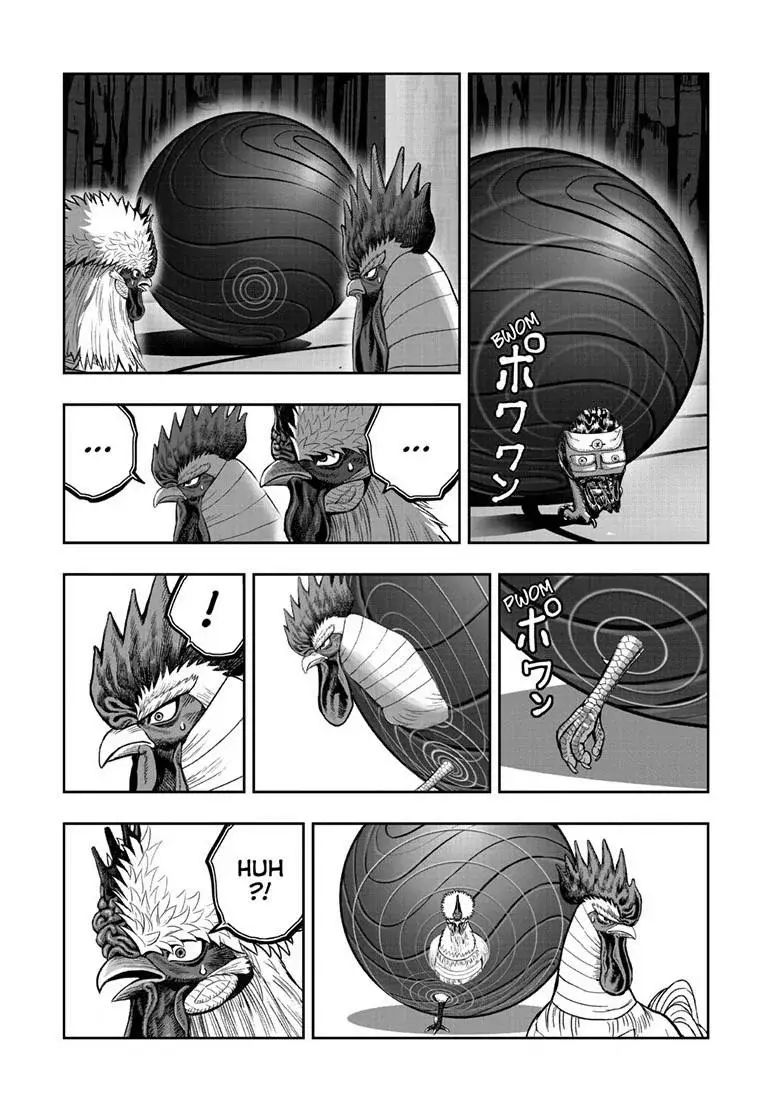 Rooster Fighter capítulo 46, página 30
