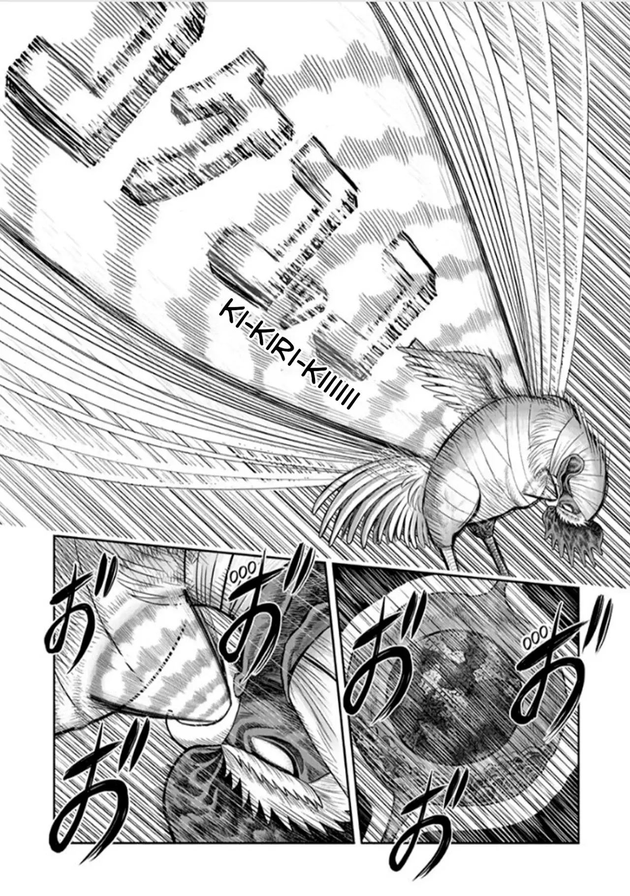 Rooster Fighter capítulo 49, página 11