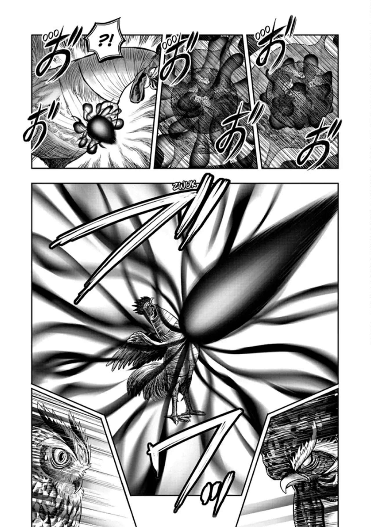 Rooster Fighter capítulo 49, página 12