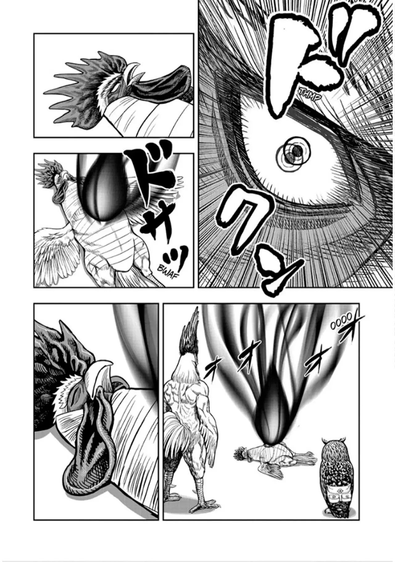 Rooster Fighter capítulo 49, página 13