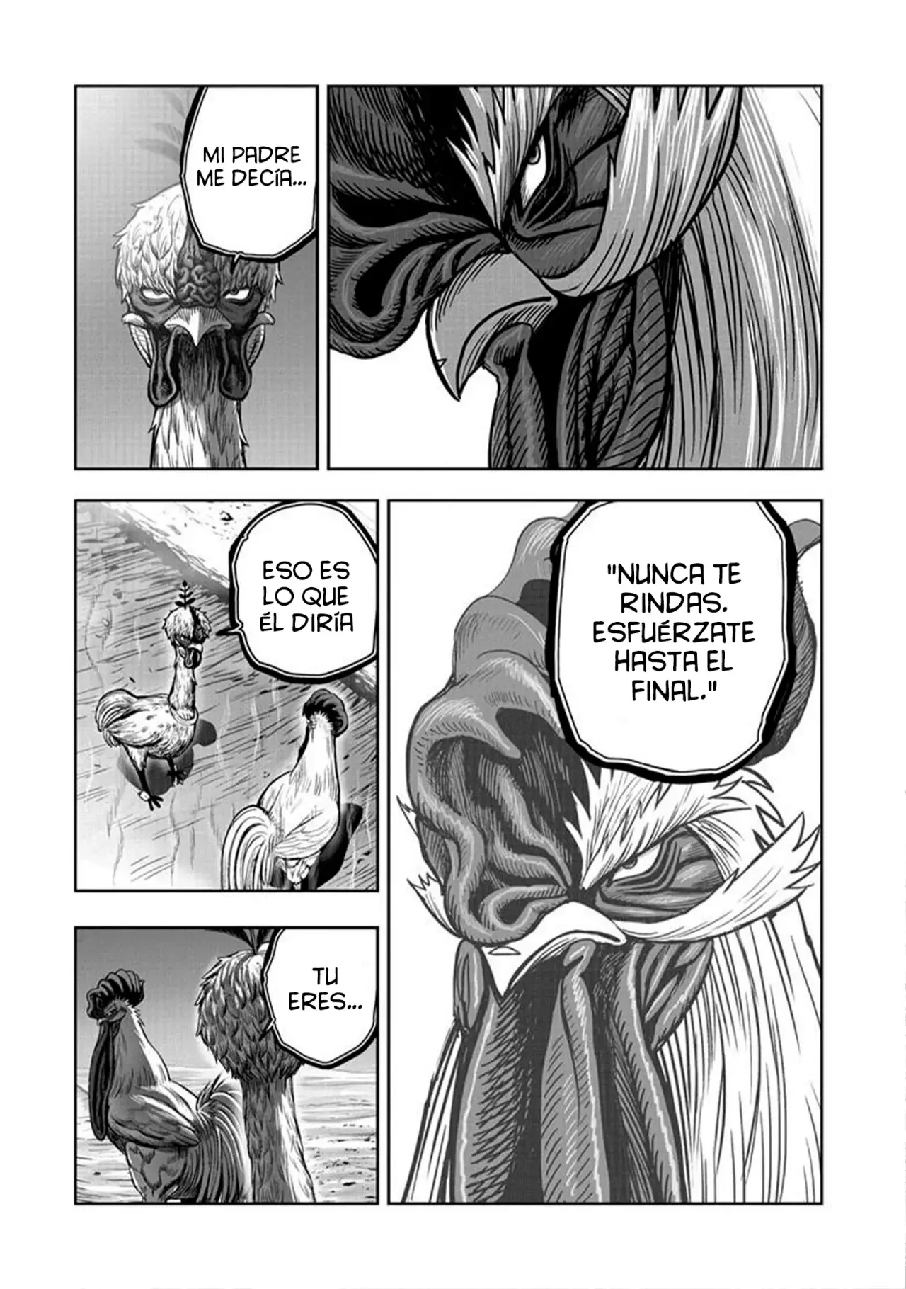 Rooster Fighter capítulo 50, página 39