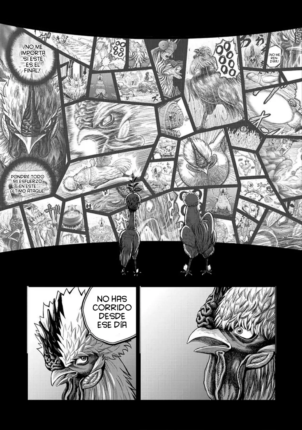 Rooster Fighter capítulo 50, página 48