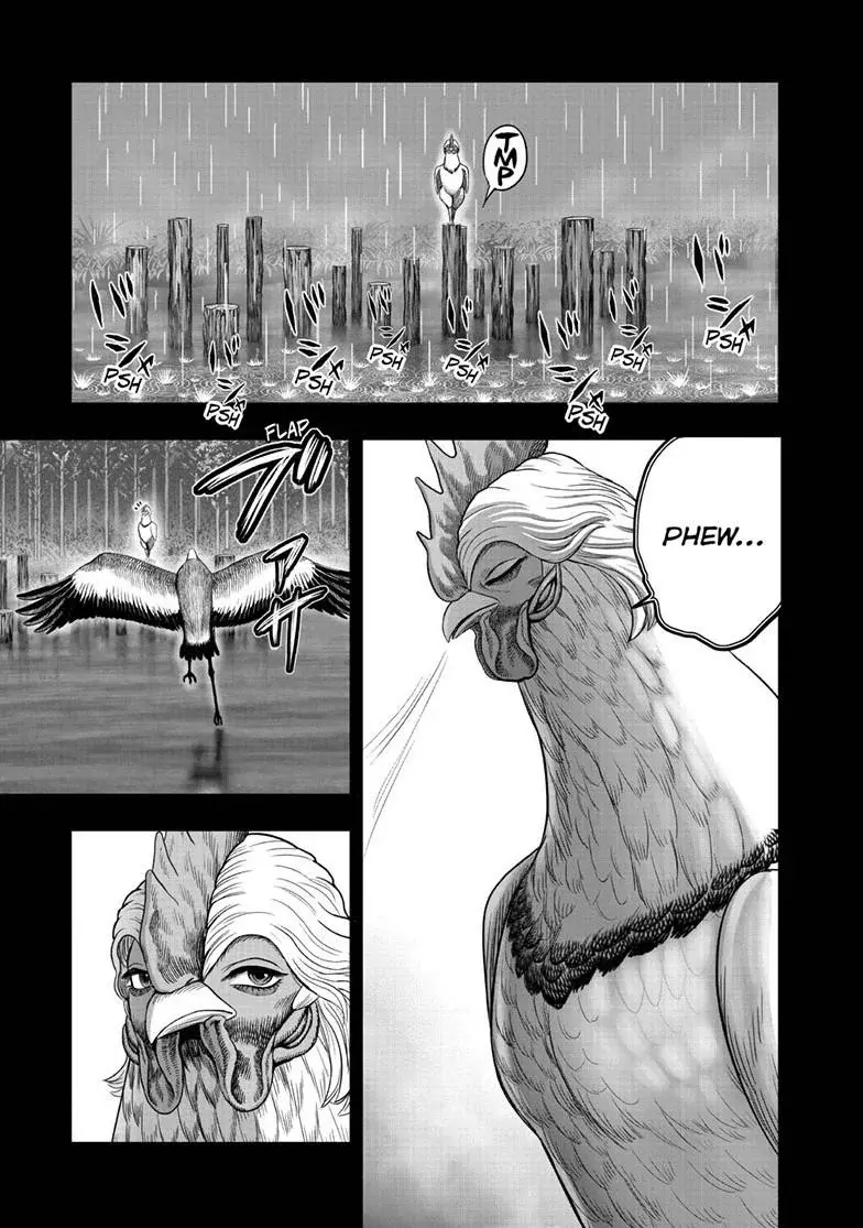 Rooster Fighter capítulo 51, página 21