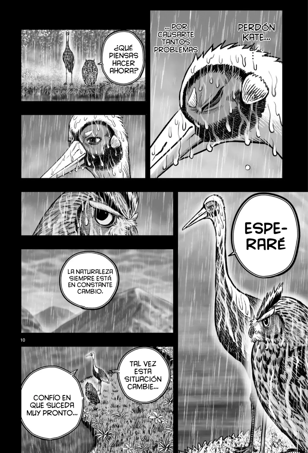 Rooster Fighter capítulo 53, página 15