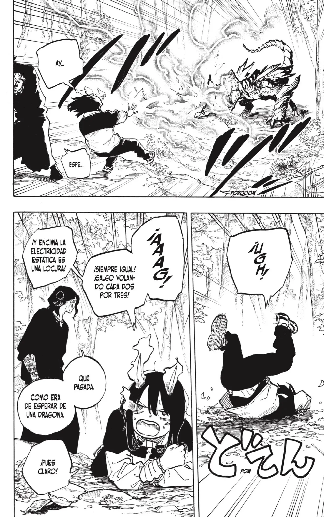 Ruri Dragon capítulo 48, página 12
