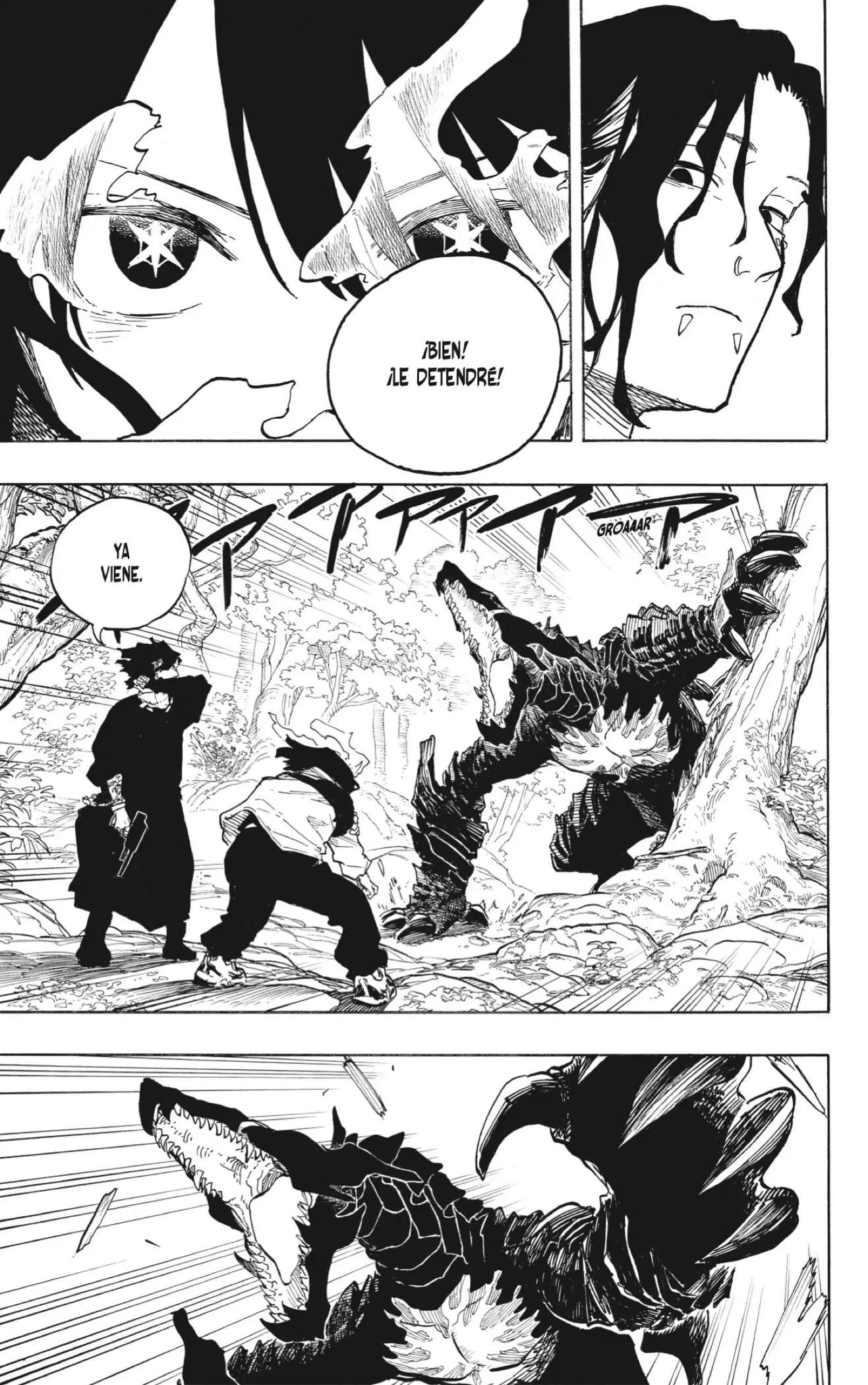 Ruri Dragon capítulo 48, página 17