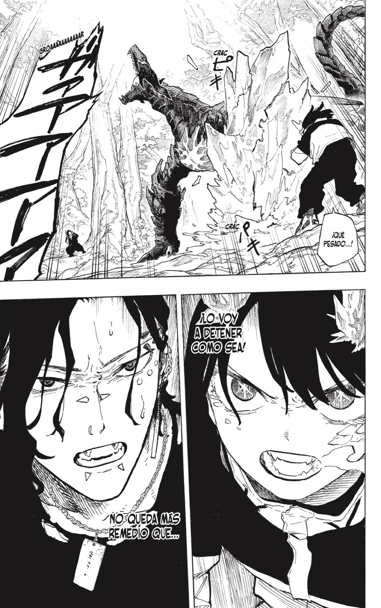 Ruri Dragon capítulo 49, página 3