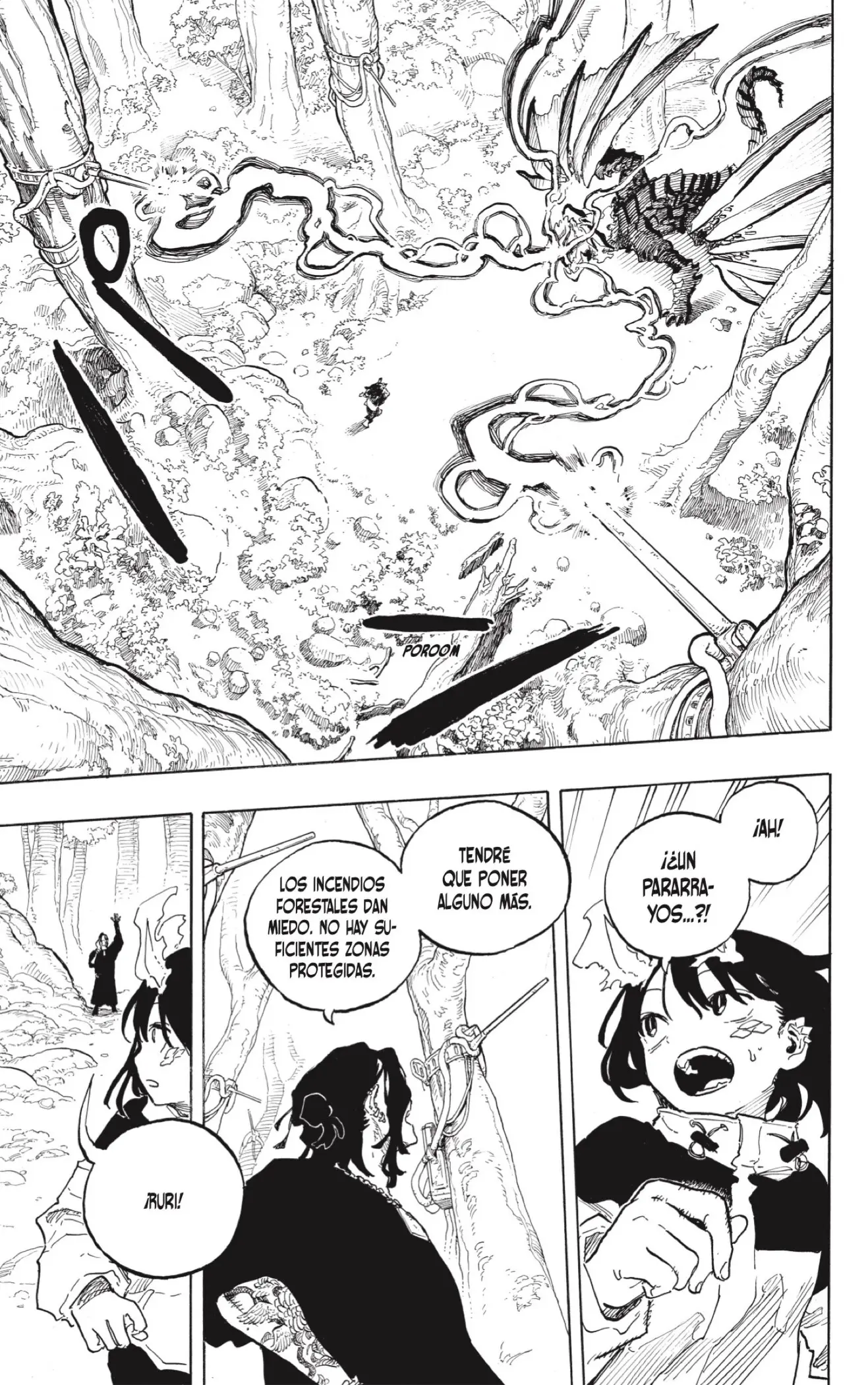 Ruri Dragon capítulo 49, página 13